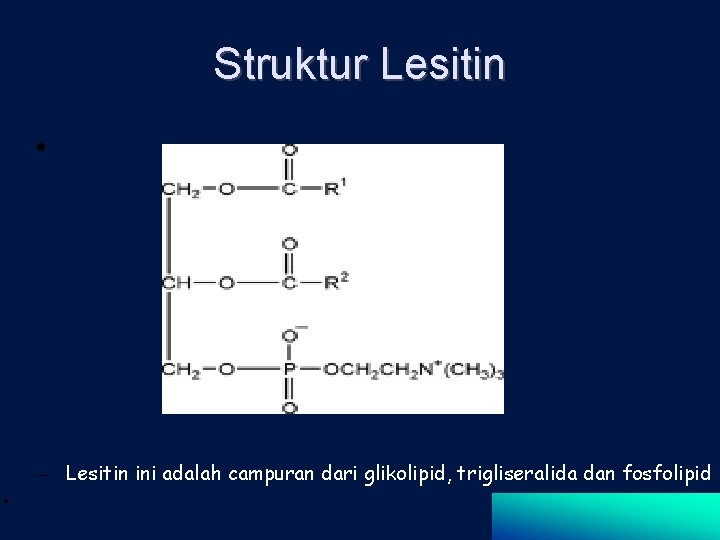 Struktur Lesitin • – Lesitin ini adalah campuran dari glikolipid, trigliseralida dan fosfolipid •