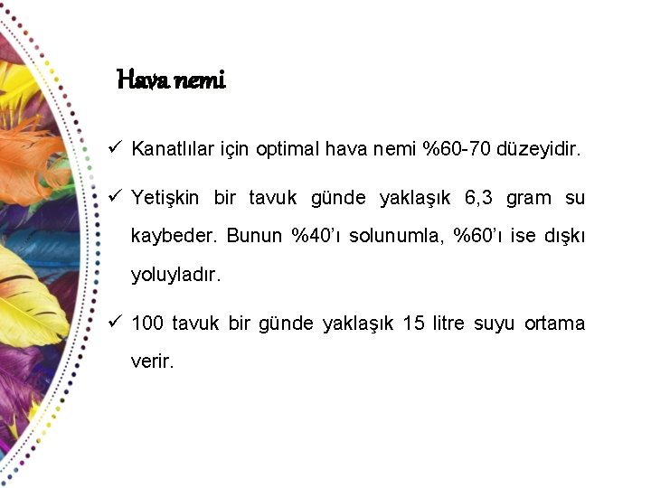 Hava nemi ü Kanatlılar için optimal hava nemi %60 -70 düzeyidir. ü Yetişkin bir