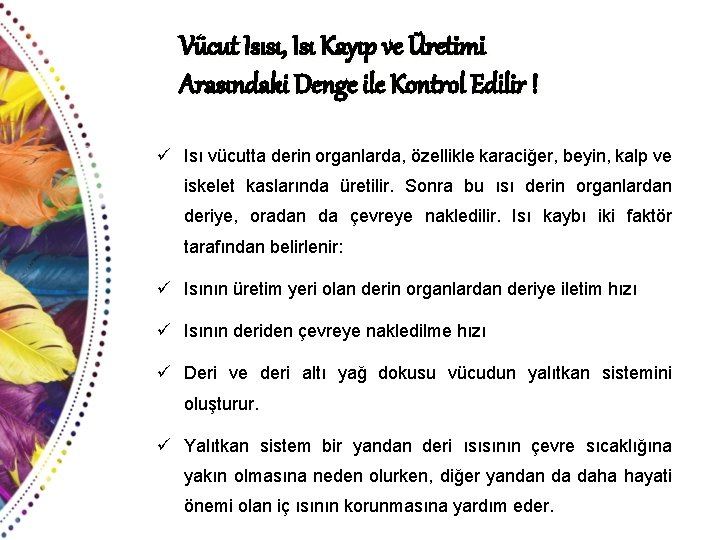 Vücut Isısı, Isı Kayıp ve Üretimi Arasındaki Denge ile Kontrol Edilir ! ü Isı