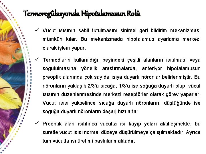 Termoregülasyonda Hipotalamusun Rolü ü Vücut ısısının sabit tutulmasını sinirsel geri bildirim mekanizması mümkün kılar.