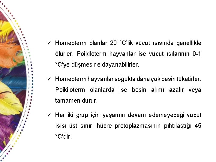 ü Homeoterm olanlar 20 °C’lik vücut ısısında genellikle ölürler. Poikiloterm hayvanlar ise vücut ısılarının