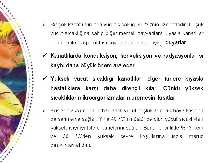 ü Bir çok kanatlı türünde vücut sıcaklığı 40 °C’nin üzerindedir. Düşük vücut sıcaklığına sahip