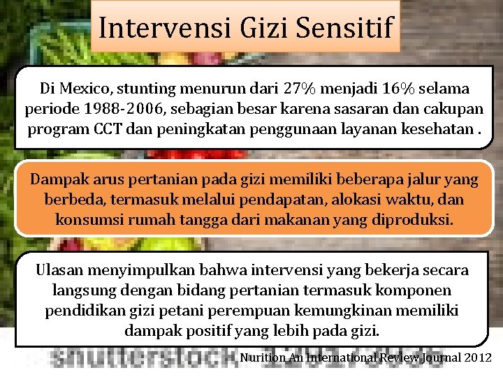 Intervensi Gizi Sensitif Di Mexico, stunting menurun dari 27% menjadi 16% selama periode 1988