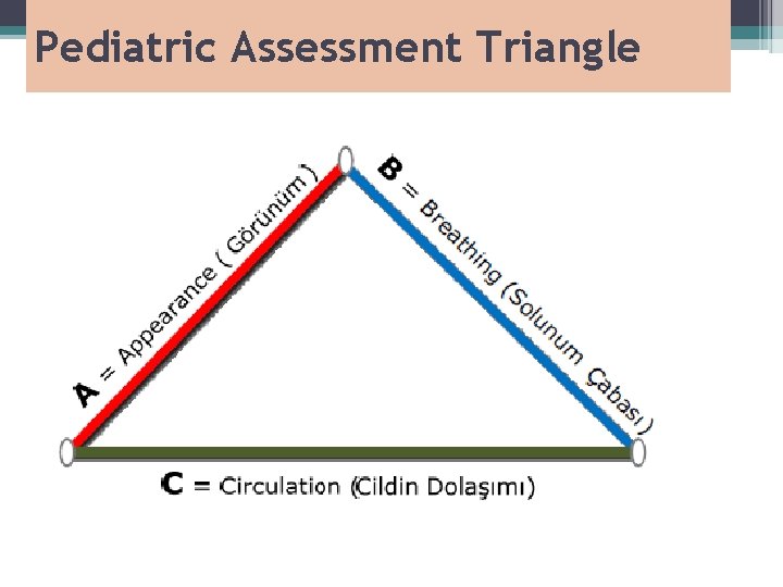 Pediatric Assessment Triangle 