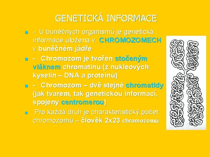 GENETICKÁ INFORMACE n n - U buněčných organismů je genetická informace uložena v CHROMOZOMECH
