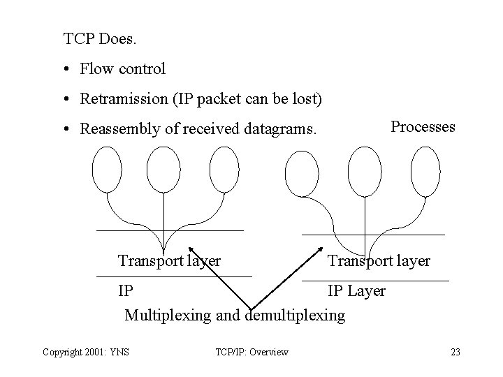 TCP Does. • Flow control • Retramission (IP packet can be lost) Processes •