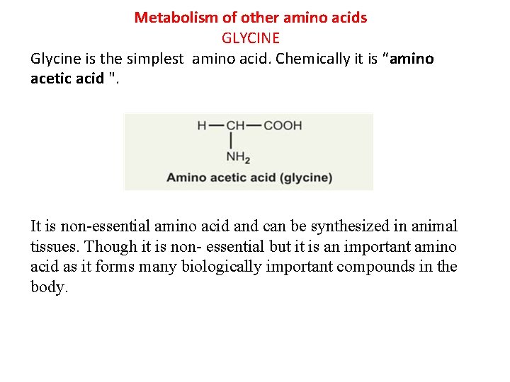 Metabolism of other amino acids GLYCINE Glycine is the simplest amino acid. Chemically it