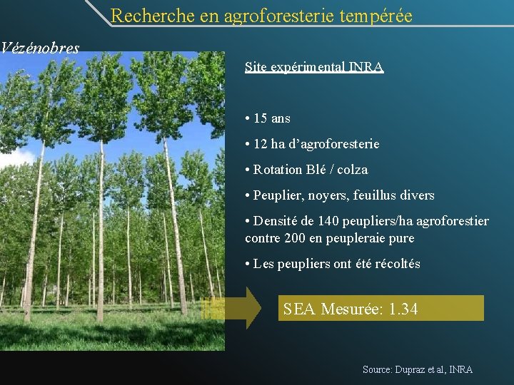  Recherche en agroforesterie tempérée Vézénobres Site expérimental INRA • 15 ans • 12