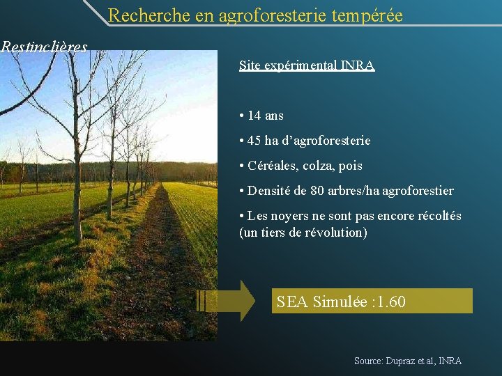  Recherche en agroforesterie tempérée Restinclières Site expérimental INRA • 14 ans • 45