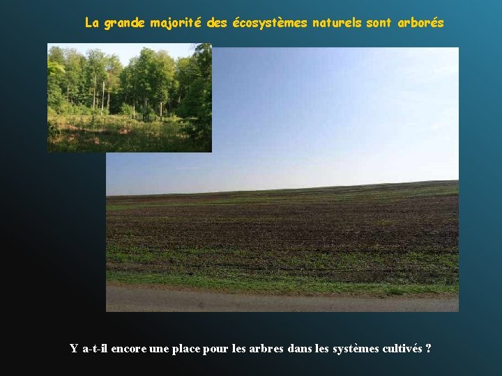 La grande majorité des écosystèmes naturels sont arborés Y a-t-il encore une place pour