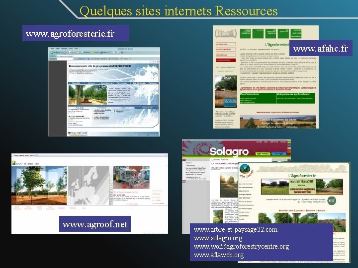  Quelques sites internets Ressources www. agroforesterie. fr www. afahc. fr www. agroof. net