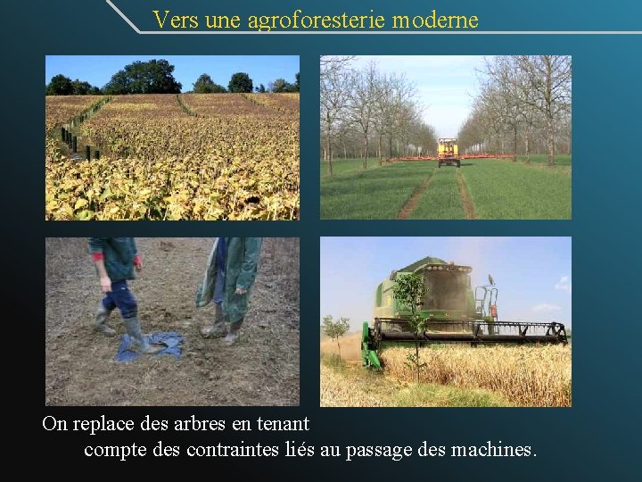 Vers une agroforesterie moderne On replace des arbres en tenant compte des contraintes liés