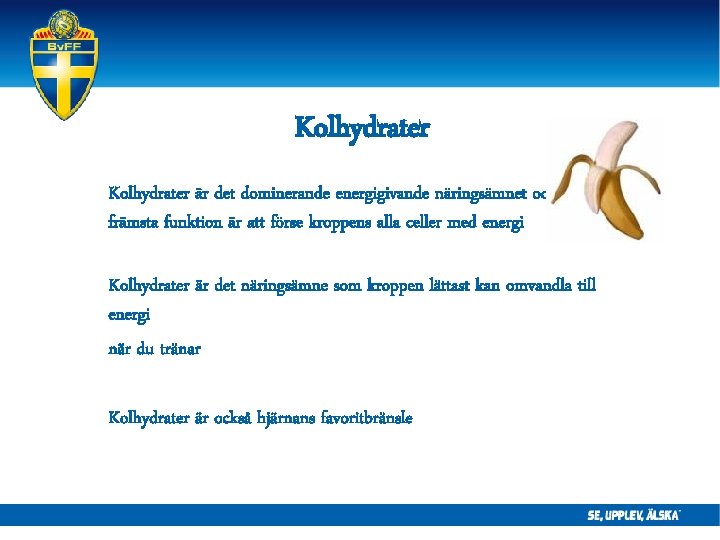 Kolhydrater är det dominerande energigivande näringsämnet och dess främsta funktion är att förse kroppens Kolhydrater är det dominerande energigivande näringsämnet och dess främsta funktion är att förse kroppens