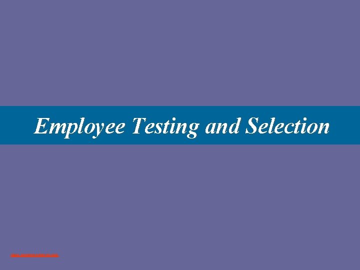 Employee Testing and Selection www. assignmentpoint. com 