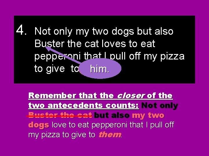 4. Not only my two dogs but also Buster the cat loves to eat