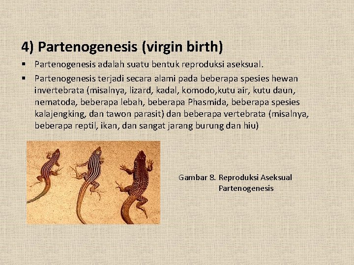 4) Partenogenesis (virgin birth) § Partenogenesis adalah suatu bentuk reproduksi aseksual. § Partenogenesis terjadi