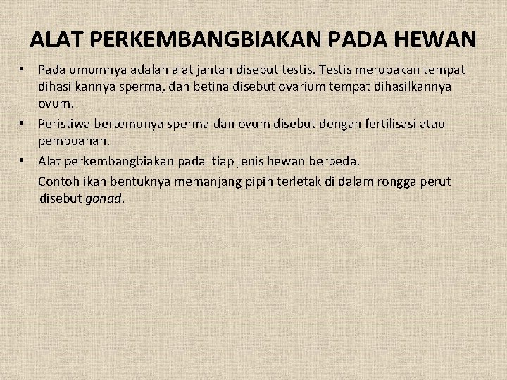 ALAT PERKEMBANGBIAKAN PADA HEWAN • Pada umumnya adalah alat jantan disebut testis. Testis merupakan