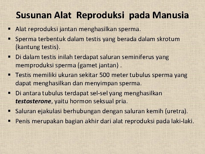 Susunan Alat Reproduksi pada Manusia § Alat reproduksi jantan menghasilkan sperma. § Sperma terbentuk