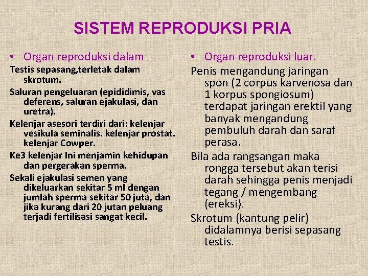 SISTEM REPRODUKSI PRIA • Organ reproduksi dalam Testis sepasang, terletak dalam skrotum. Saluran pengeluaran