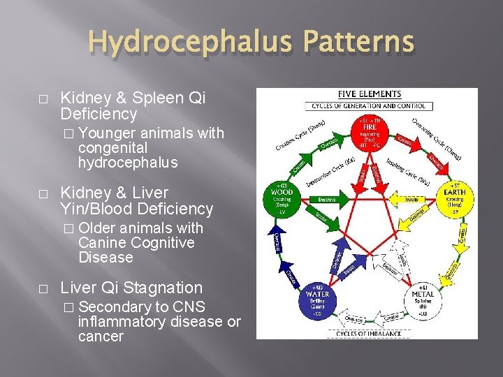 Hydrocephalus Patterns � Kidney & Spleen Qi Deficiency � Younger animals with congenital hydrocephalus