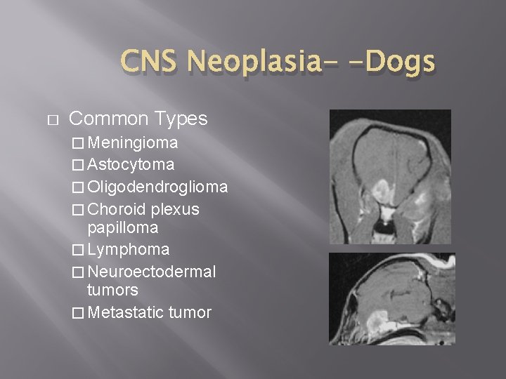 CNS Neoplasia- -Dogs � Common Types � Meningioma � Astocytoma � Oligodendroglioma � Choroid