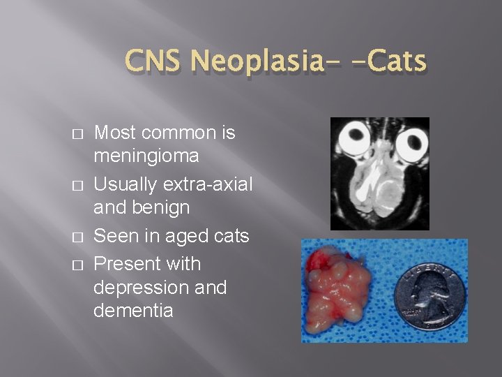 CNS Neoplasia- -Cats � � Most common is meningioma Usually extra-axial and benign Seen