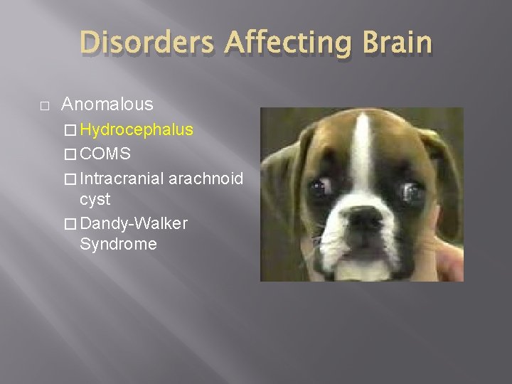 Disorders Affecting Brain � Anomalous � Hydrocephalus � COMS � Intracranial arachnoid cyst �