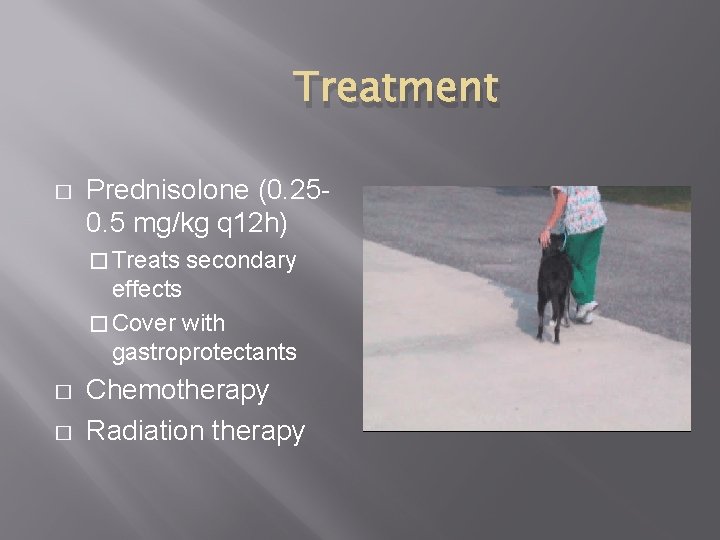 Treatment � Prednisolone (0. 250. 5 mg/kg q 12 h) � Treats secondary effects