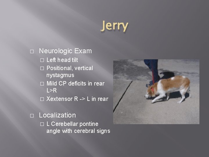 Jerry � Neurologic Exam Left head tilt � Positional, vertical nystagmus � Mild CP