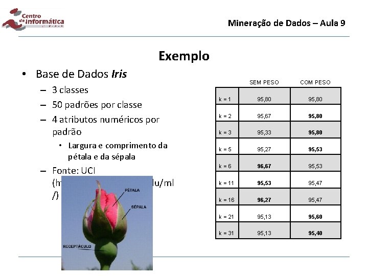 Mineração de Dados – Aula 9 Exemplo • Base de Dados Iris – 3