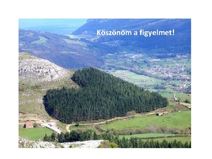 Köszönöm a figyelmet! 