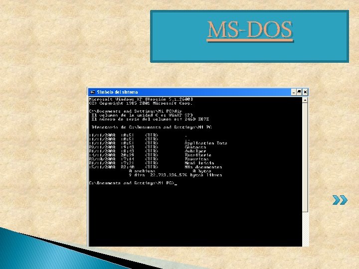 MS-DOS MS-DOS
