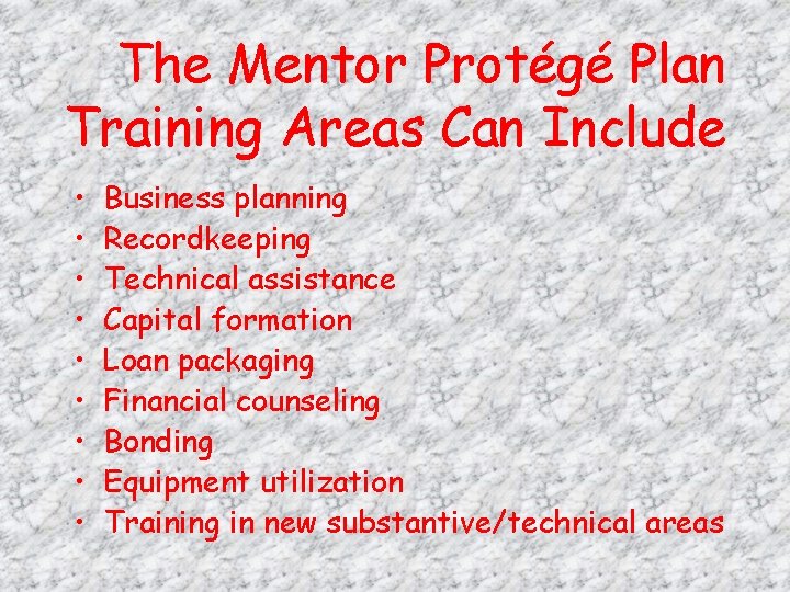 The Mentor Protégé Plan Training Areas Can Include • • • Business planning Recordkeeping