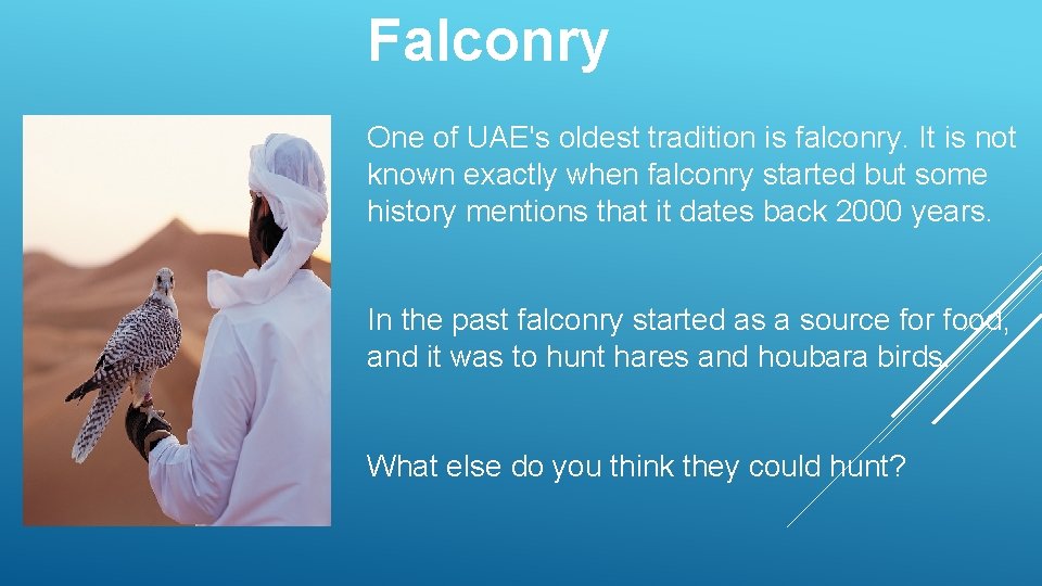 Falconry One of UAE's oldest tradition is falconry. It is not known exactly when