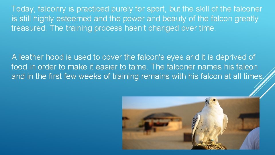 Today, falconry is practiced purely for sport, but the skill of the falconer is