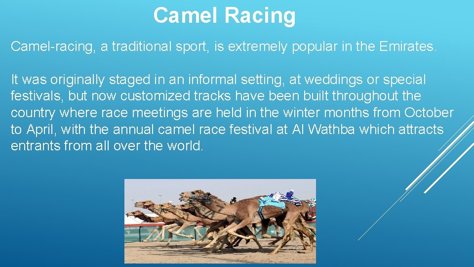 Camel Racing Camel-racing, a traditional sport, is extremely popular in the Emirates. It was