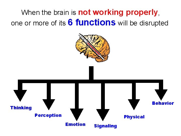  When the brain is not working properly, one or more of its 6