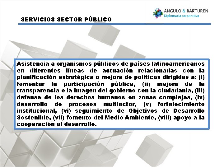 SERVICIOS SECTOR PÚBLICO Asistencia a organismos públicos de países latinoamericanos en diferentes líneas de