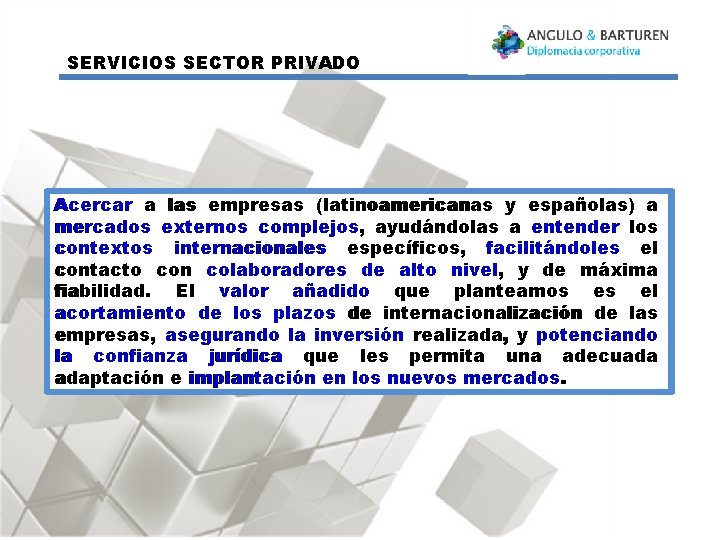 SERVICIOS SECTOR PRIVADO Acercar a las empresas (latinoamericanas y españolas) a mercados externos complejos,