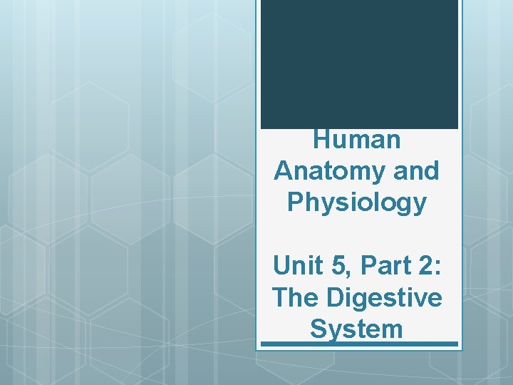 Human Anatomy and Physiology Unit 5, Part 2: The Digestive System 