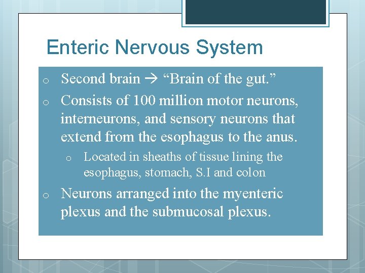 Enteric Nervous System o o Second brain “Brain of the gut. ” Consists of