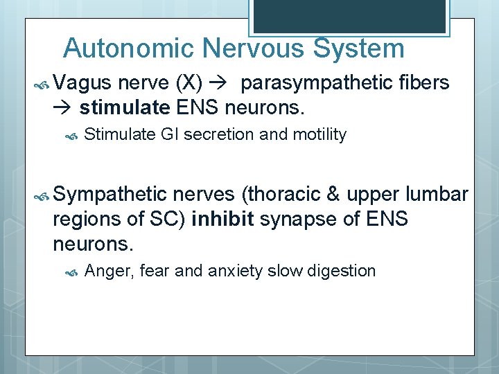 Autonomic Nervous System Vagus nerve (X) parasympathetic fibers stimulate ENS neurons. Stimulate GI secretion