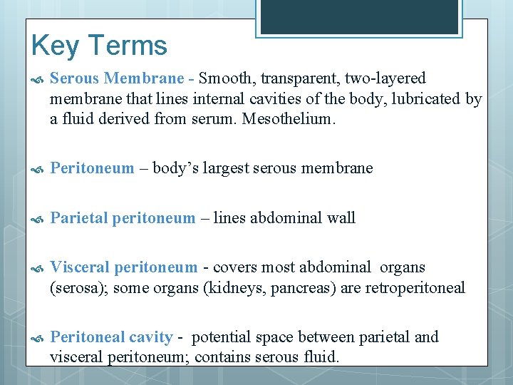 Key Terms Serous Membrane - Smooth, transparent, two-layered membrane that lines internal cavities of