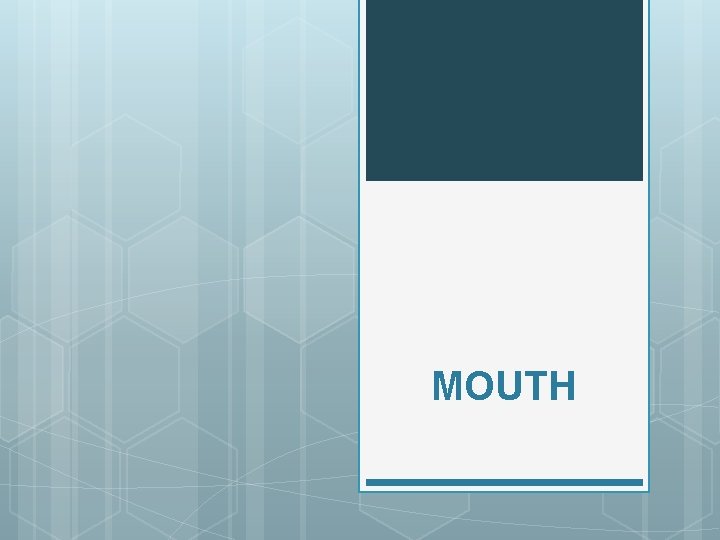 MOUTH 