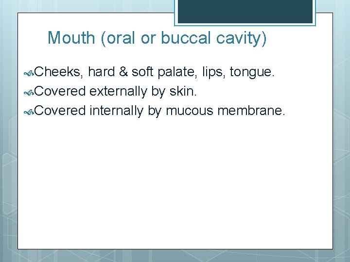 Mouth (oral or buccal cavity) Cheeks, hard & soft palate, lips, tongue. Covered externally