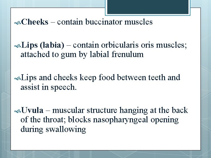  Cheeks – contain buccinator muscles Lips (labia) – contain orbicularis oris muscles; attached