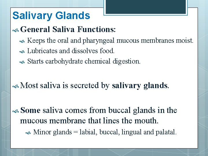 Salivary Glands General Saliva Functions: Keeps the oral and pharyngeal mucous membranes moist. Lubricates