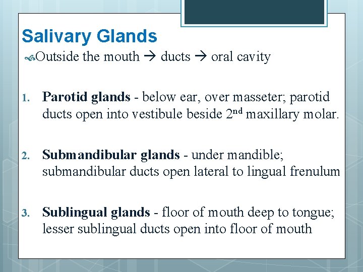 Salivary Glands Outside the mouth ducts oral cavity 1. Parotid glands - below ear,