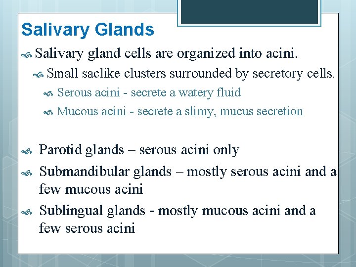 Salivary Glands Salivary Small gland cells are organized into acini. saclike clusters surrounded by