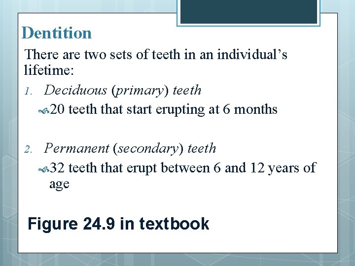 Dentition There are two sets of teeth in an individual’s lifetime: 1. Deciduous (primary)